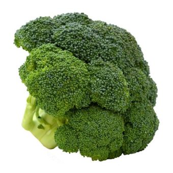 Fresh Broccoli (7-10)-1x102